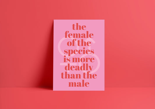 The Female Of The Species (Space inspired) A4 Lyric Print